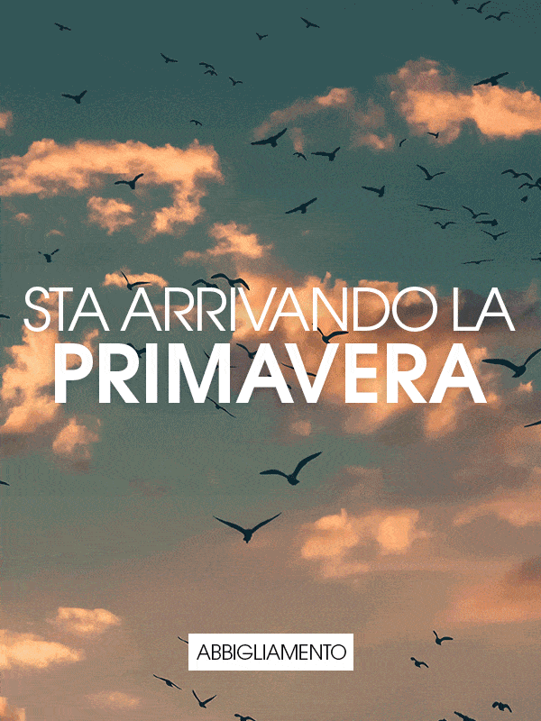 Abbigliamento >