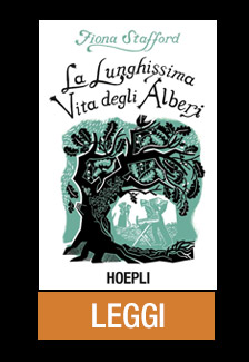 LA LUNGHISSIMA VITA DEGLI ALBERI