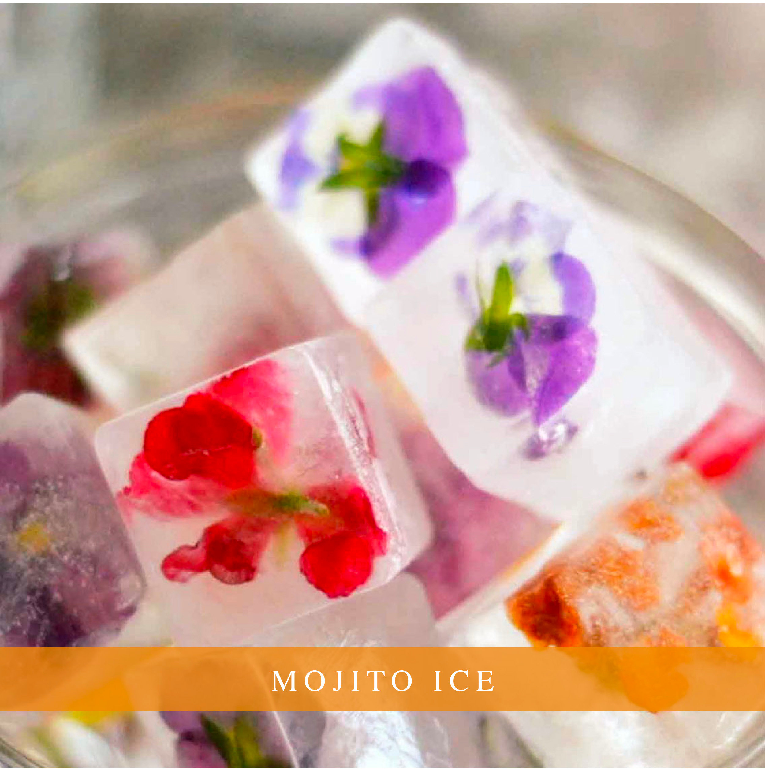 Mojito Ice 