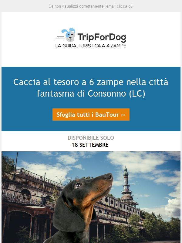 Caccia al tesoro a 6 zampe 🐾🐾 nella città fantasma di Consonno (LC)