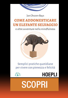 COME ADDOMESTICARE UN ELEFANTE SELVAGGIO