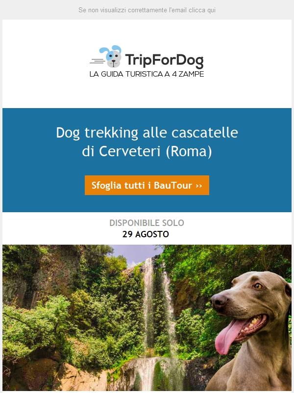 Dog trekking 🐾🐾 alle cascatelle di Cerveteri (Roma)