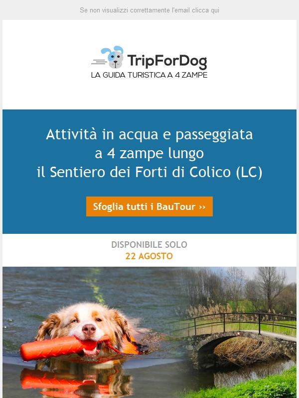 NUOVA DATA 22 AGOSTO🐾🐾 Attività in acqua e passeggiata a 4 zampe lungo il Sentiero dei Forti di Colico (LC)