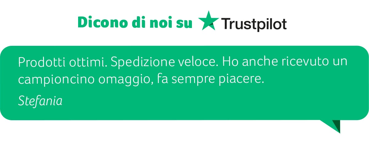 Dicono di noi su Trustpilot