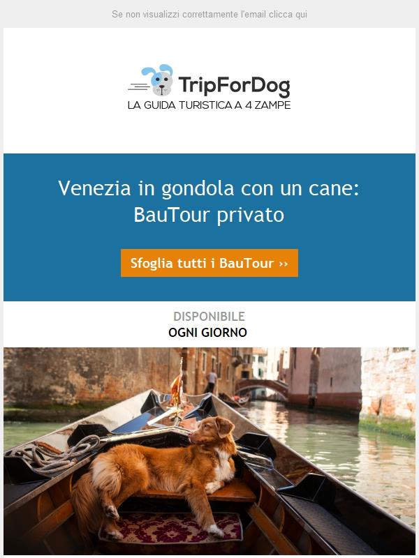 Venezia in gondola con un cane🐾🐾: bautour privato
