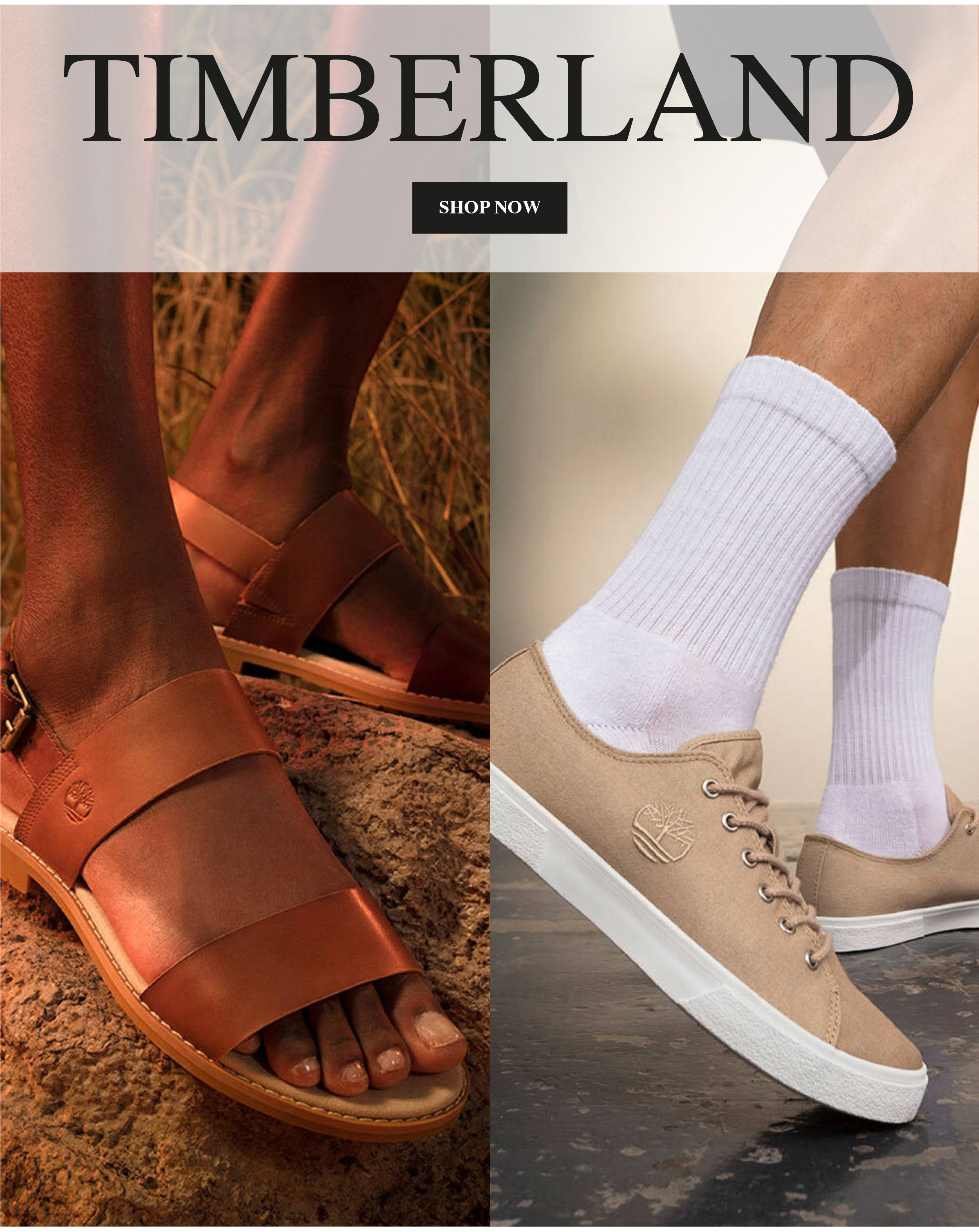 Ventis: North Sails, Timberland, Frau, Diadora, Saraghina | C'è sempre  qualcosa di speciale online | Jekoo