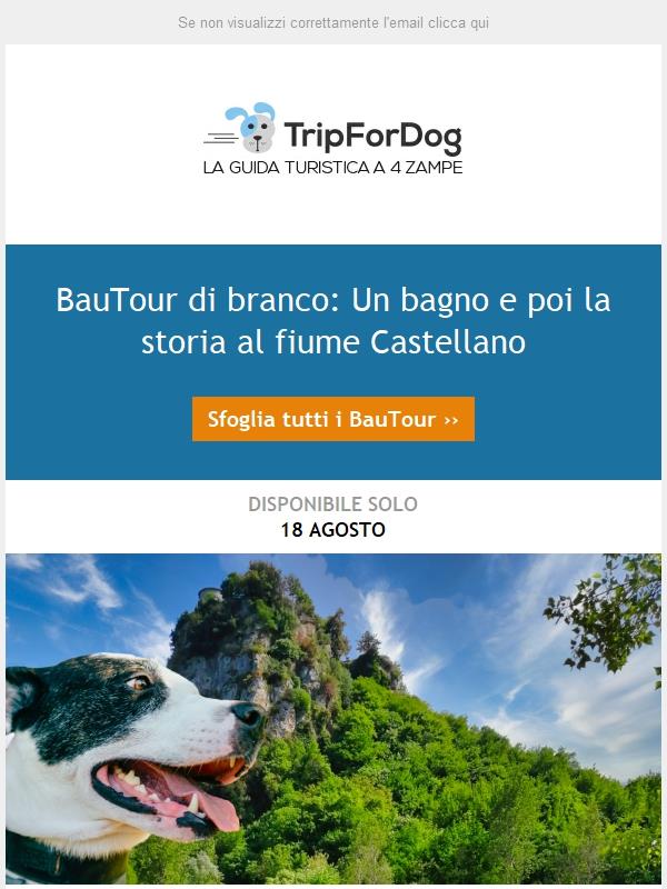 BauTour di branco🐾🐾 Un bagno e poi la storia al fiume Castellano
