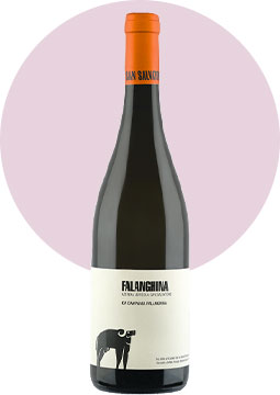 Falanghina Campania