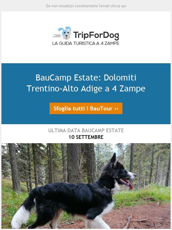 Ultima data BauCamp Estate in Trentino 🐾🐾 10 Settembre