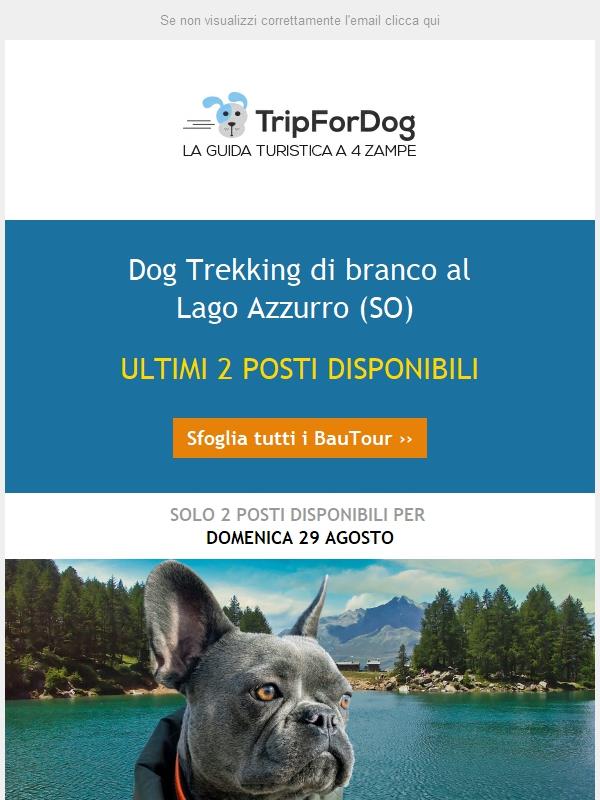 BauTour di Branco al Lago Azzurro: 2 posti liberi per Domenica 29/8 🐾🐾