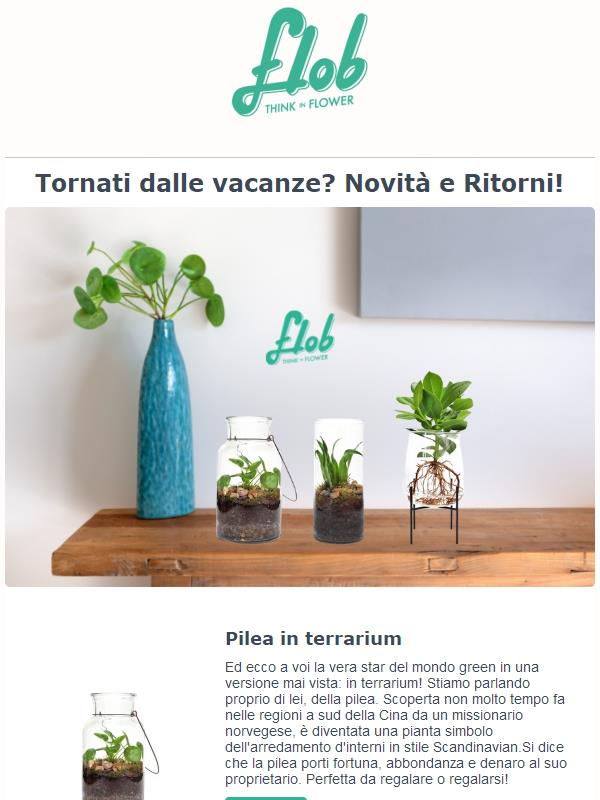 Novità e disponibilità! Ultimi Giorni di Saldi