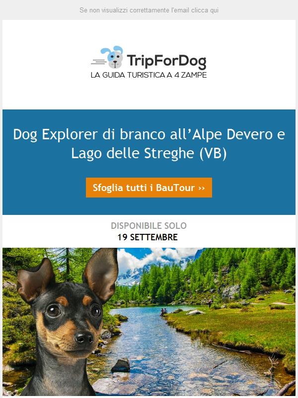 Dog Explorer di branco🐾🐾 all’Alpe Devero e Lago delle Streghe (VB)