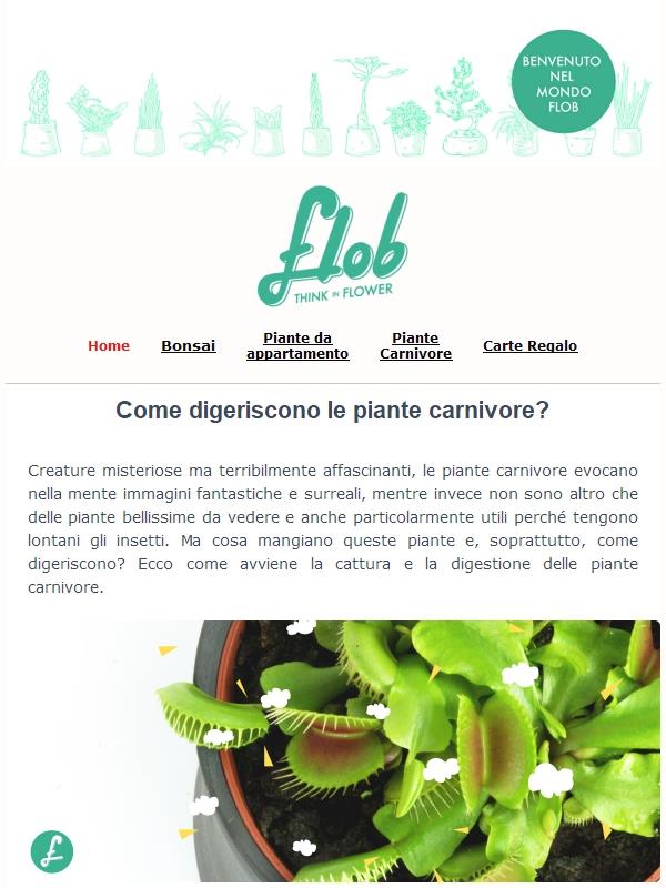 Creature misteriose ma terribilmente affascinanti