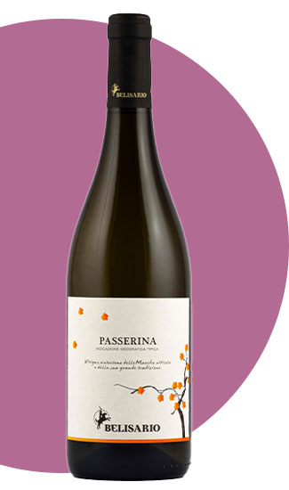 Passerina