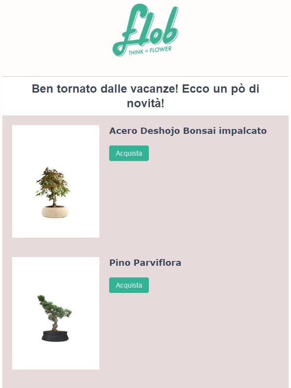 Novità Bonsai e grandi ritorni in catalogo!
