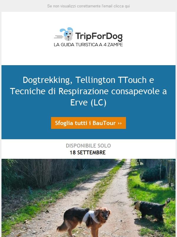 Dogtrekking, Tellington TTouch e Tecniche di Respirazione consapevole (LC)