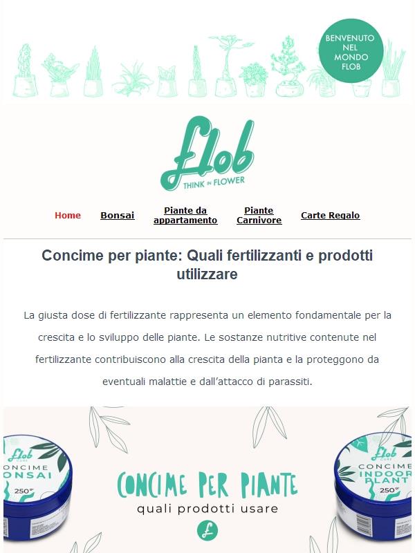 Cura e consigli per concimare la tua collezione di piante!