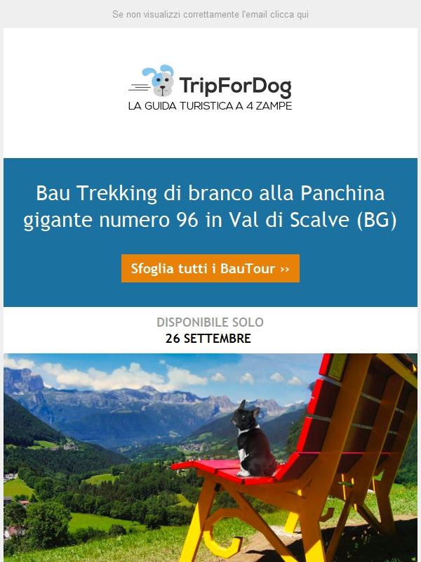 Bau Trekking di branco 🐾🐾 alla Panchina gigante numero 96 in Val di Scalve (BG)