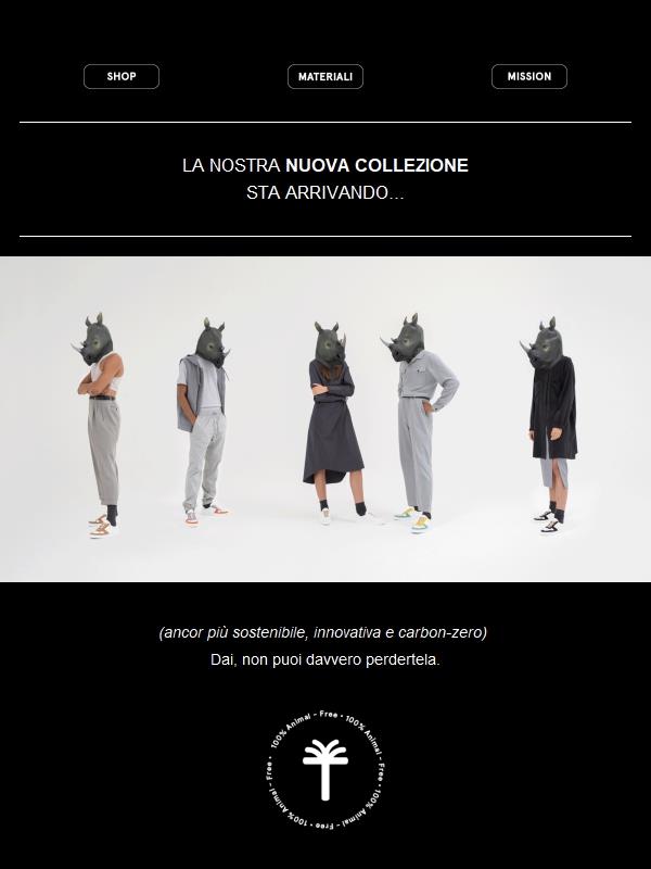 Nuova Collezione Yatay... Coming Soon!