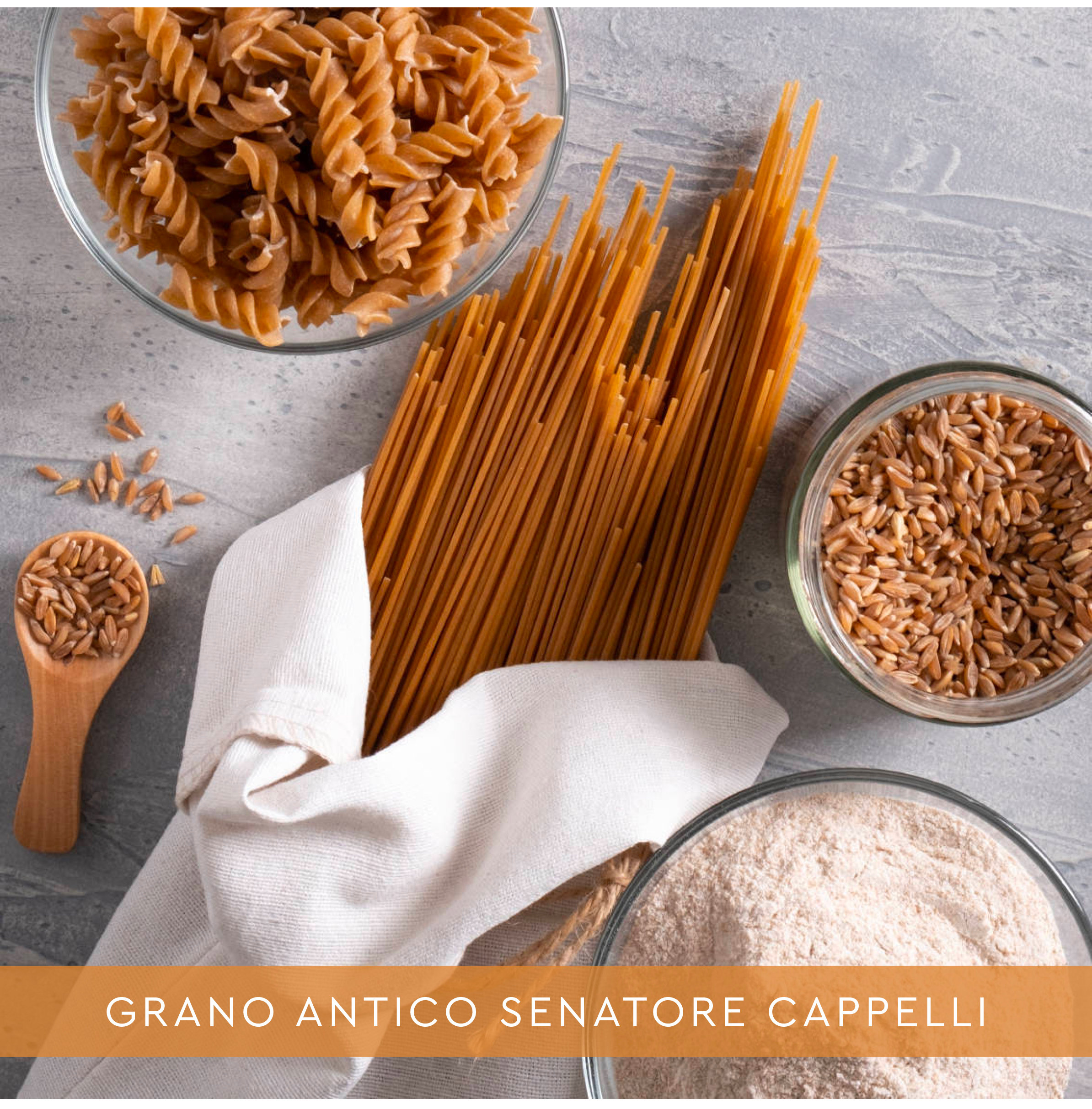 Grano Antico Senatore Cappelli 