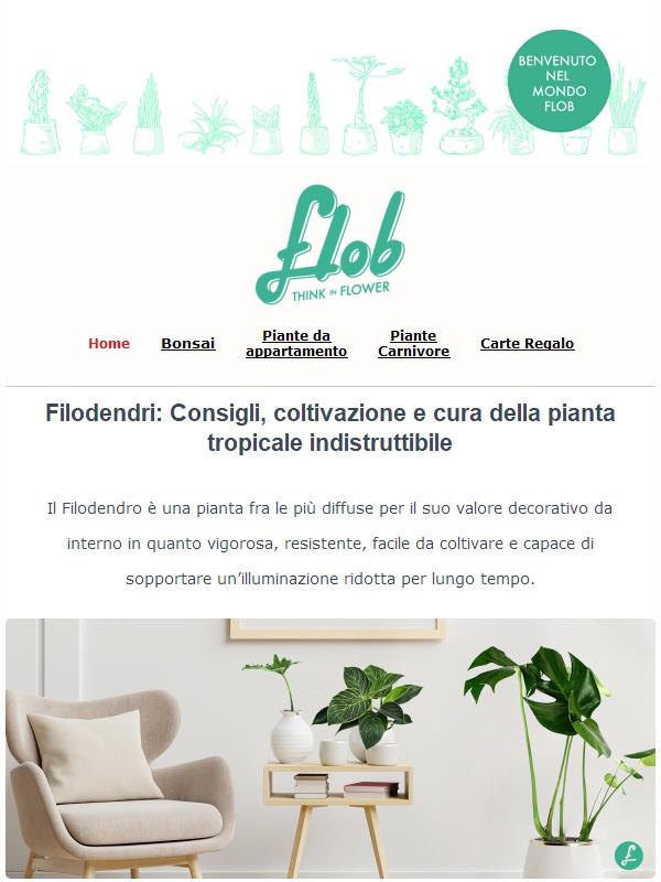 ☘️ Hai o vorresti un filodendro? Filodendri: Consigli, coltivazione e cura