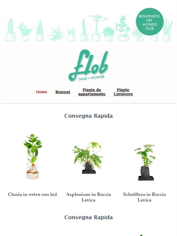 Tanti rItorni in catalogo!