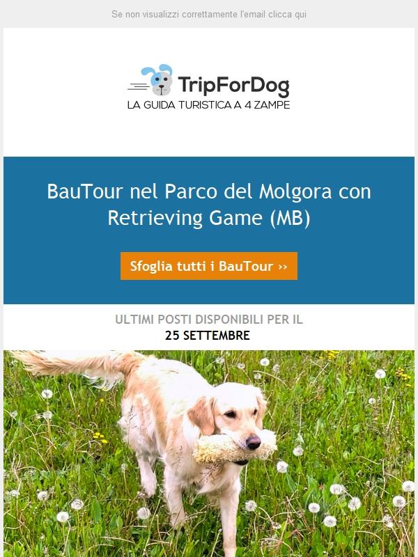 BauTour 🐾🐾 nel Parco del Molgora con Retrieving Game (MB)