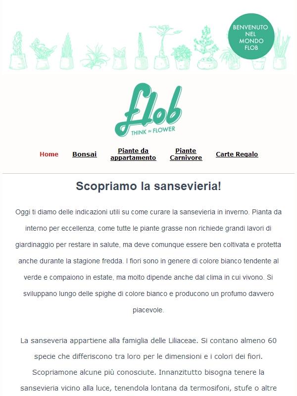 Conosci la Sansevieria? Consigli e cure su come curarla