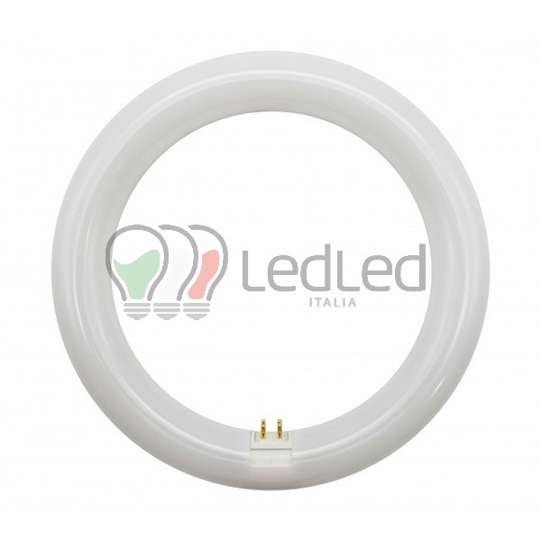 Immagine Circolina Led T9 G10Q 21,5cm da 15W Bianco Neutro 4000K