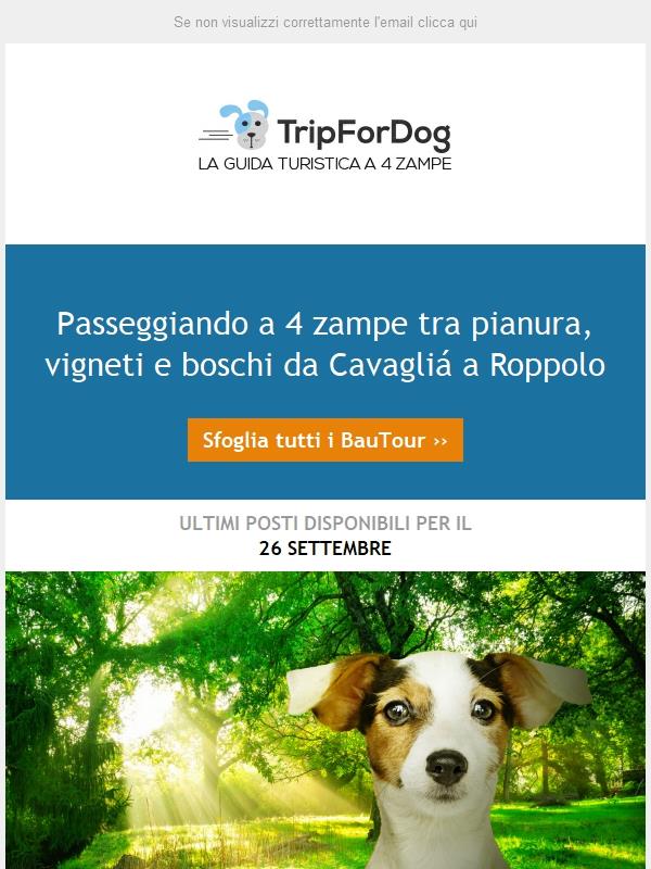 Passeggiando a 4 zampe 🐾🐾tra pianura, vigneti e boschi da Cavagliá a Roppolo (BI)