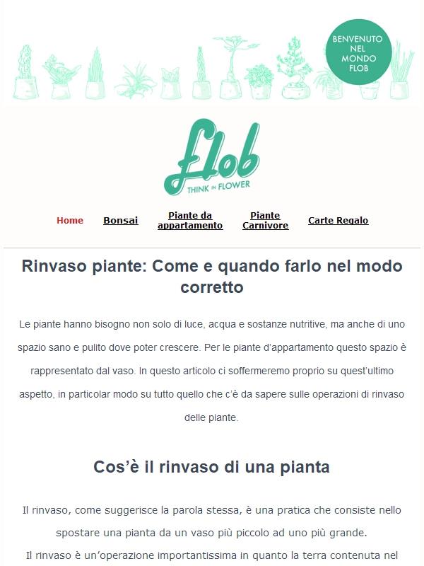 🌱 Rinvaso piante, come e quando farlo!