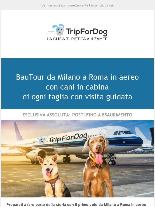 ESCLUSIVA 🐾🐾 In volo con cani di tutte le taglie