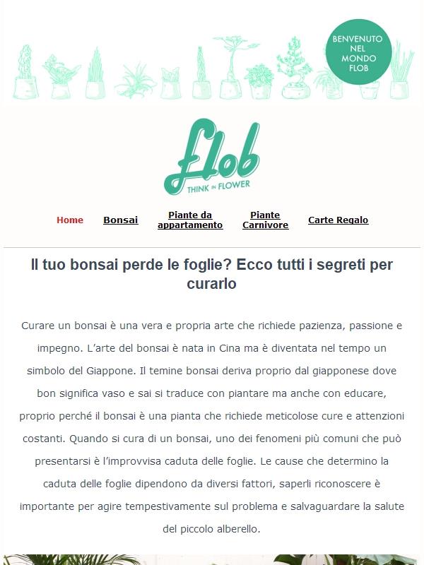 Il tuo bonsai perde le foglie? Ecco tutti i segreti per curarlo