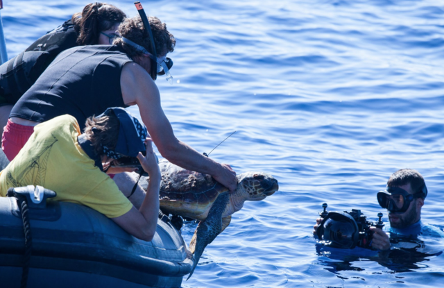 Per ciascun paio di Camaleon venduto, doneremo l’1% del ricavato a Save The Med, un’organizzazione no profit che opera per rigenerare il mar Mediterraneo.