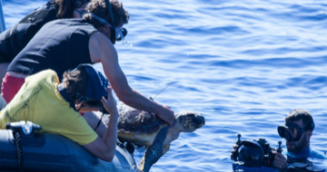 Per ciascun paio di Camaleon venduto, doneremo l’1% del ricavato a Save The Med, un’organizzazione no profit che opera per rigenerare il mar Mediterraneo.