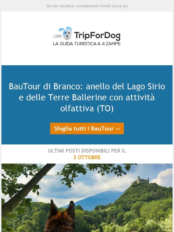 BauTour di Branco🐾🐾: anello del Lago Sirio e delle Terre Ballerine con attività olfattiva (TO)
