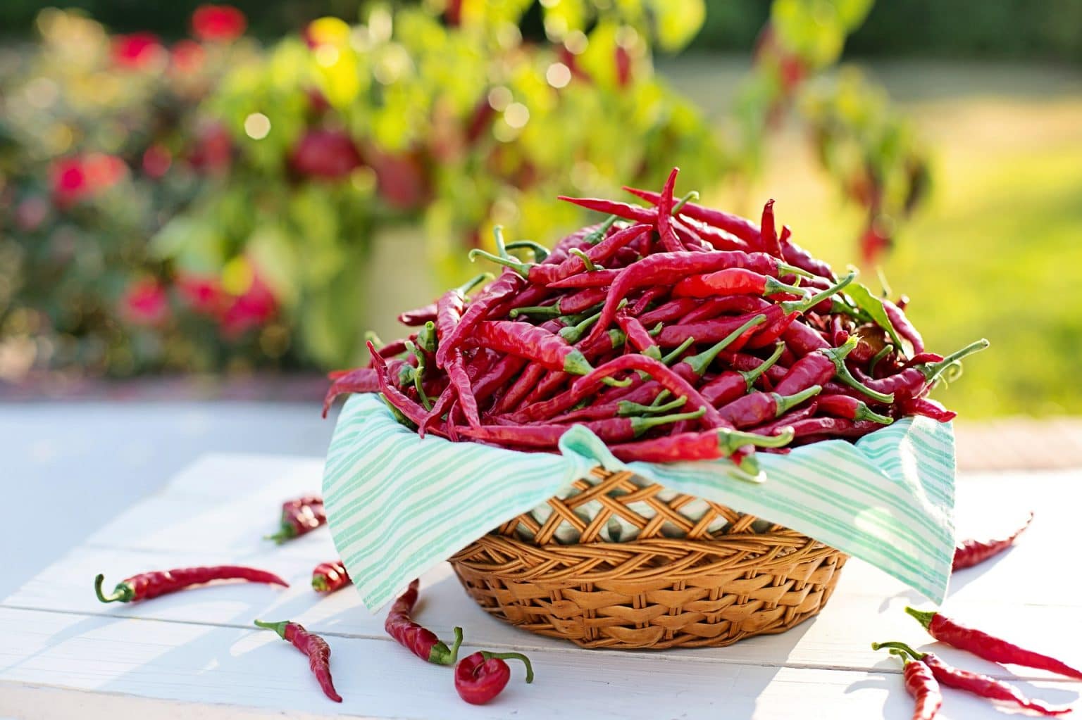 PROPRIETÀ BENEFICHE DEL PEPERONCINO