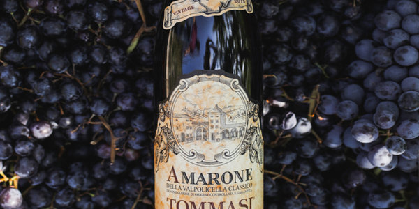 Le Tenute di Tommasi 