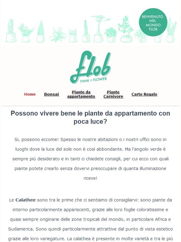 💡 Hai poca luce in casa? Scopri le piante che fanno per te