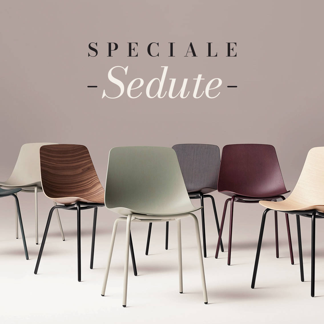 Speciale Sedute