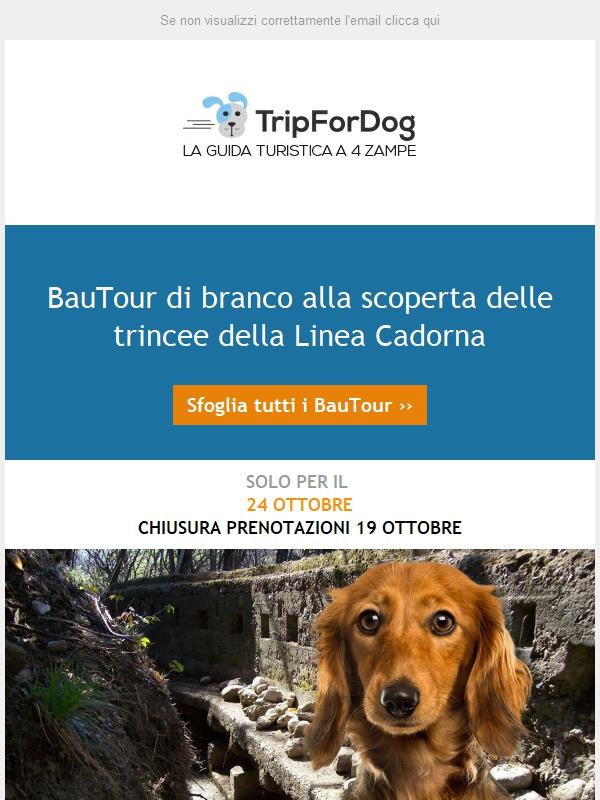 BauTour di branco 🐾🐾alla scoperta delle trincee della Linea Cadorna