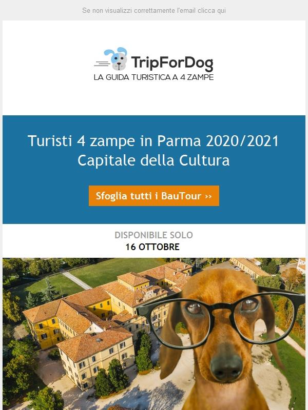 Turisti 4 zampe🐾🐾 in Parma 2020/2021 Capitale della Cultura