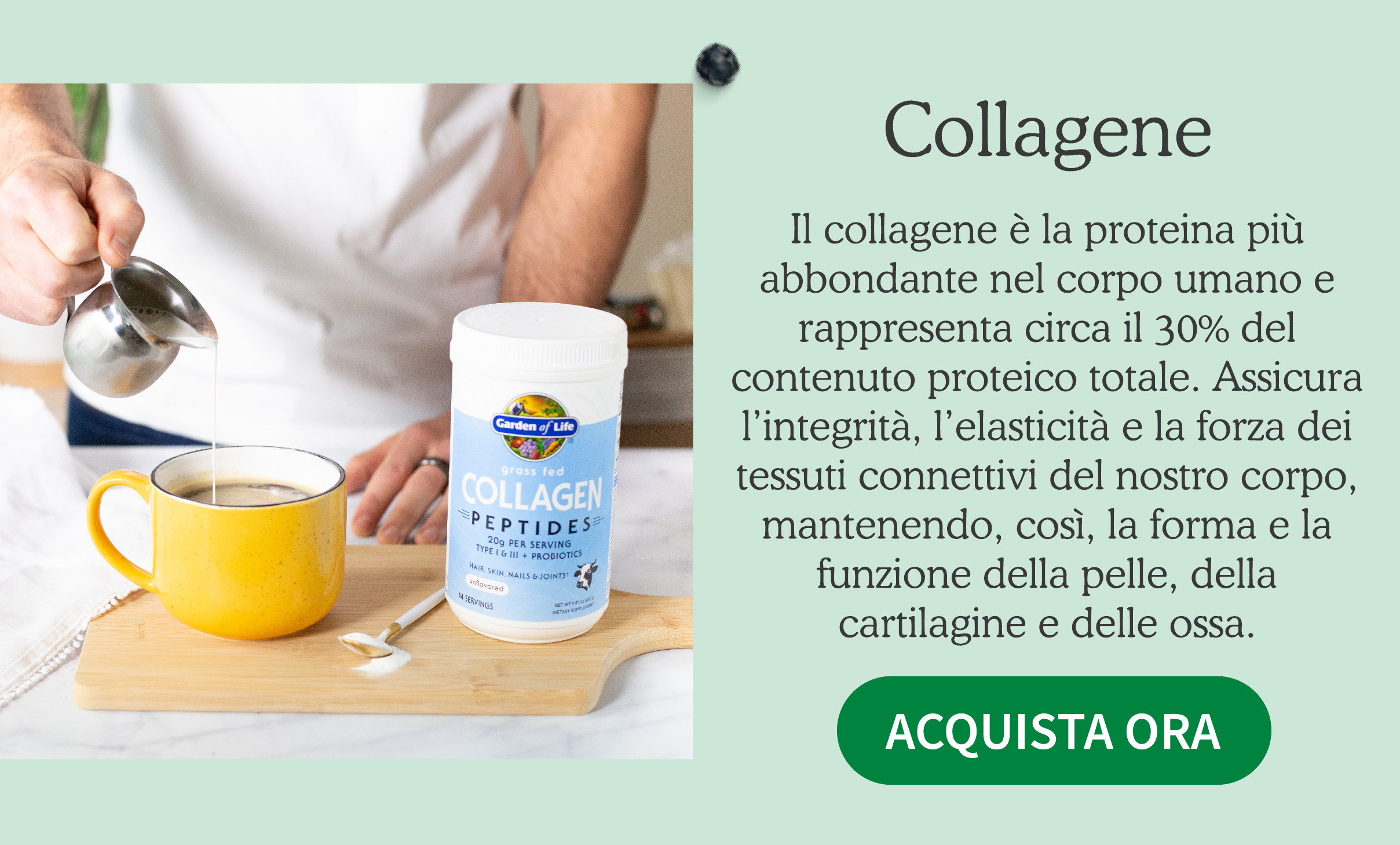 Peptidi di Collagene