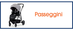 Passeggini