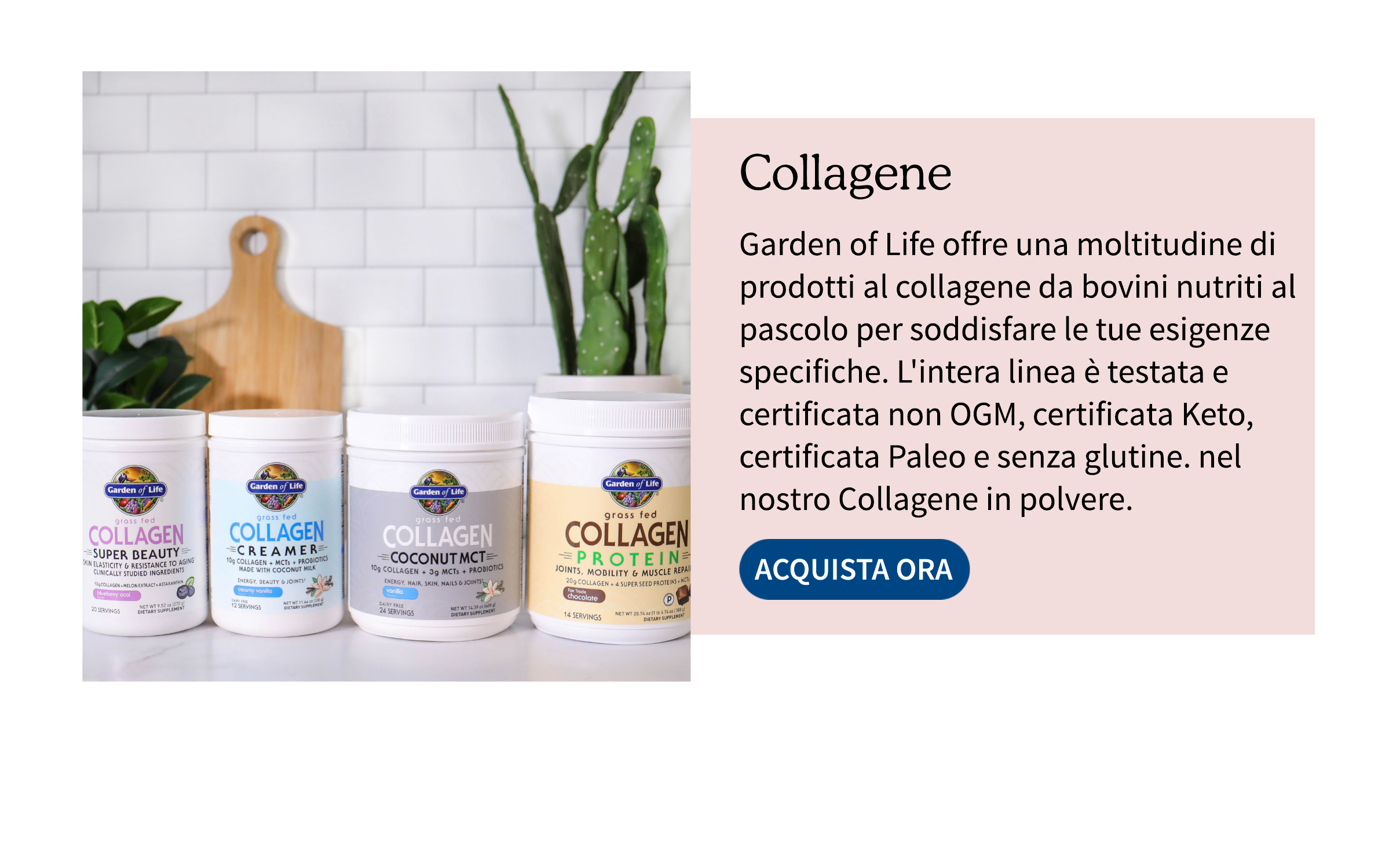 Collagene