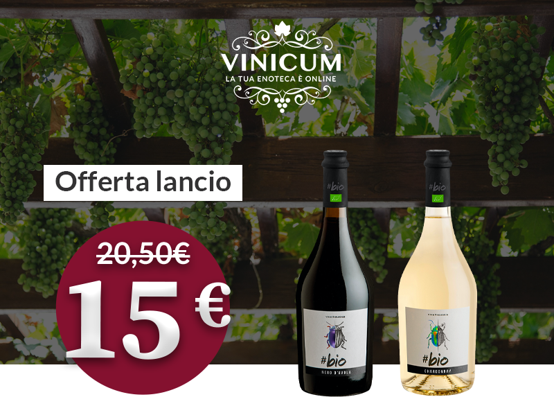 Banner promo vegan Banner promo vegan