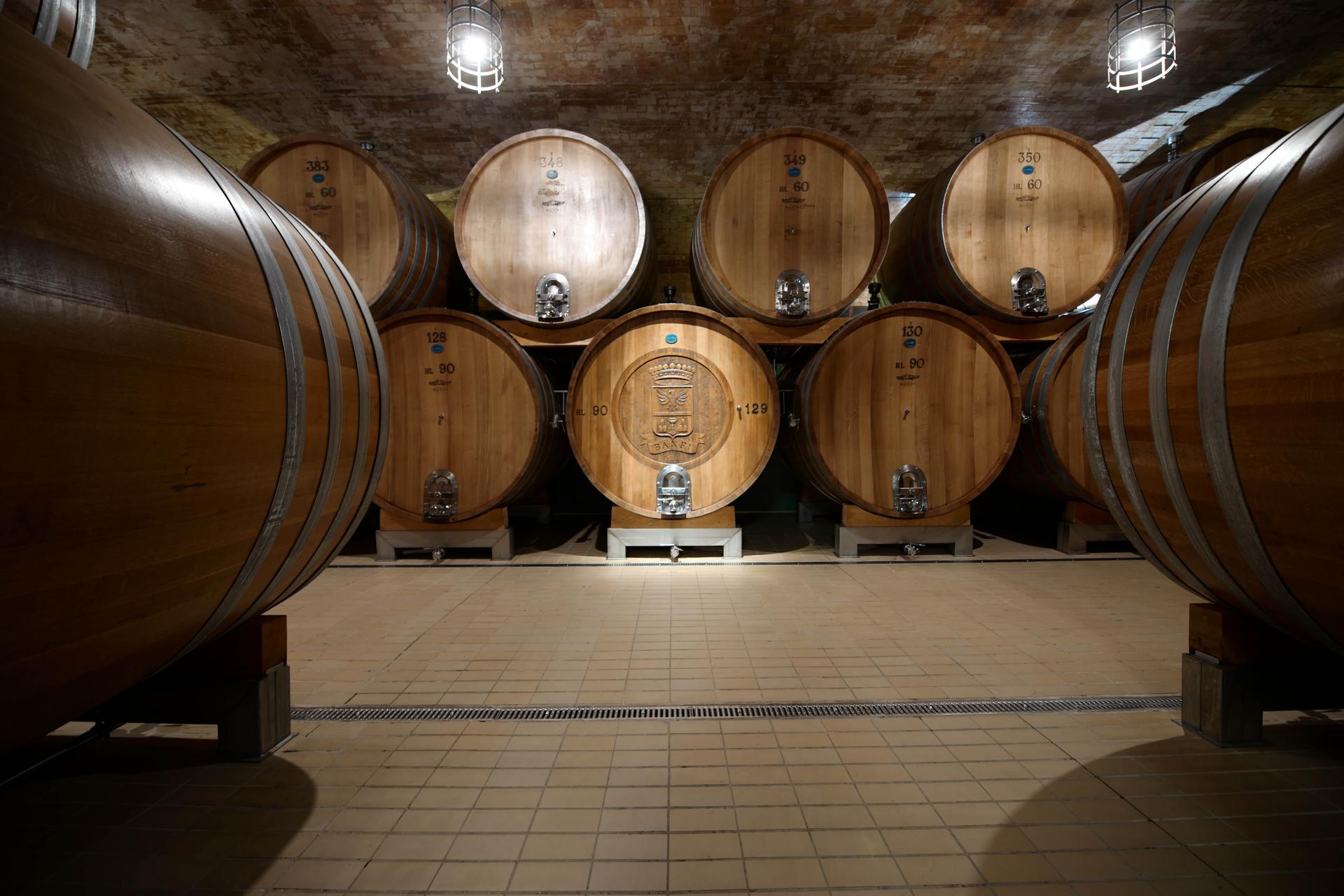 Banfi