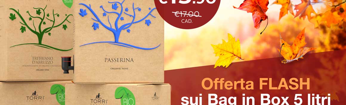 Offerta FLASH Bag in Box 5 litri