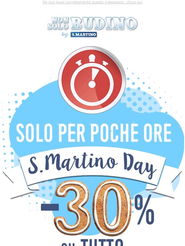 Solo per oggi -30% e SPEDIZIONE GRATUITA  - S.Martino Day