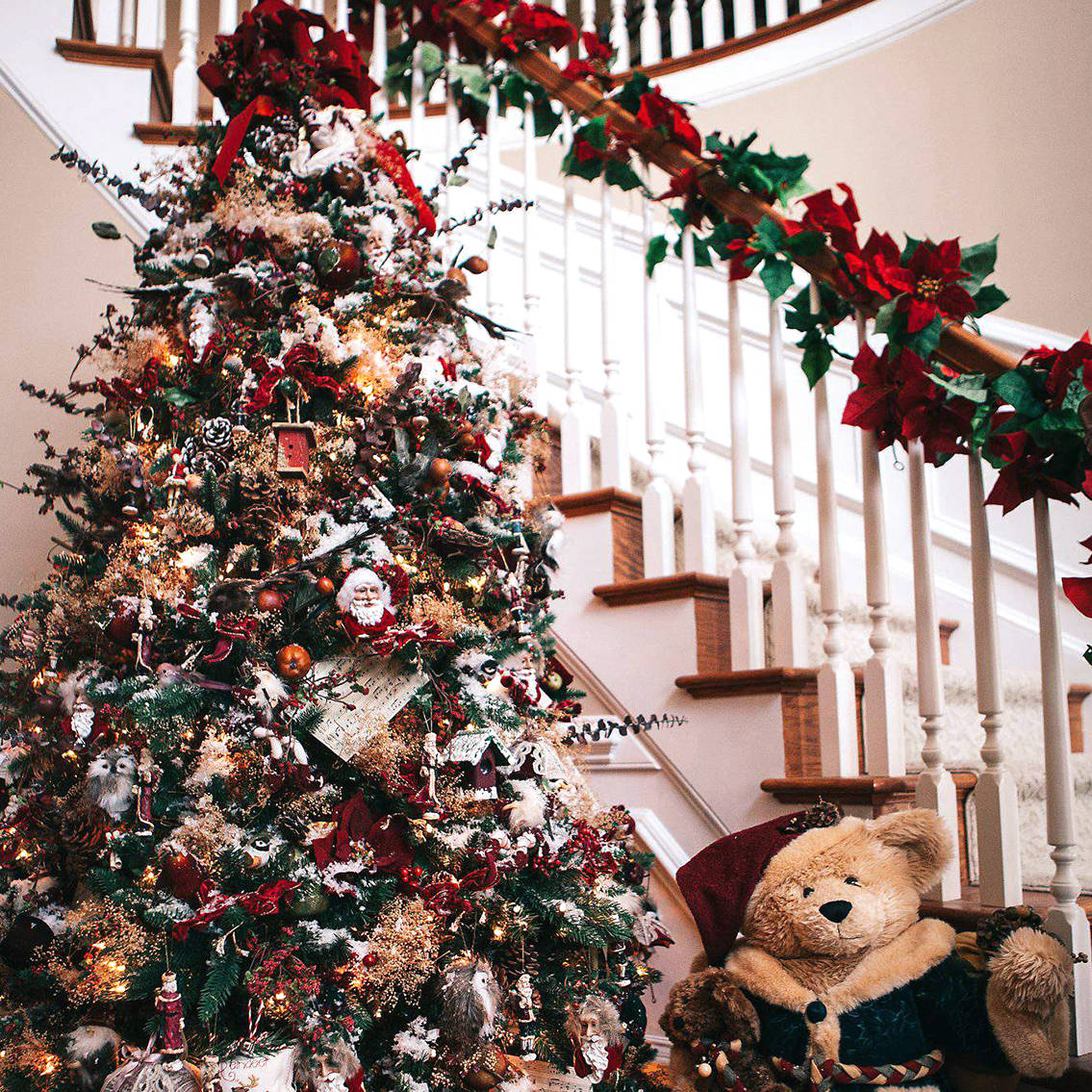 Magico Natale